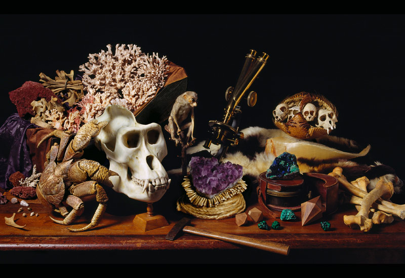 Robyn Stacey - museum chapter 3