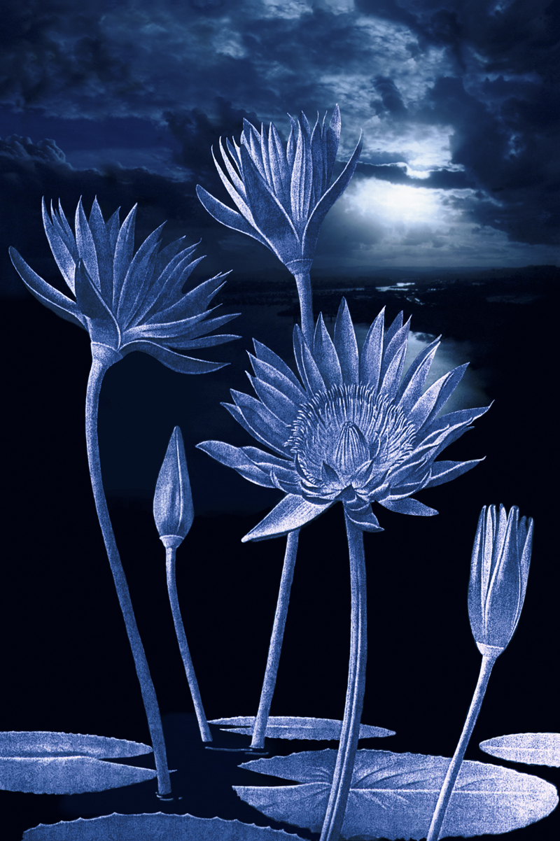 Robyn Stacey - Surrender (blue),	2001