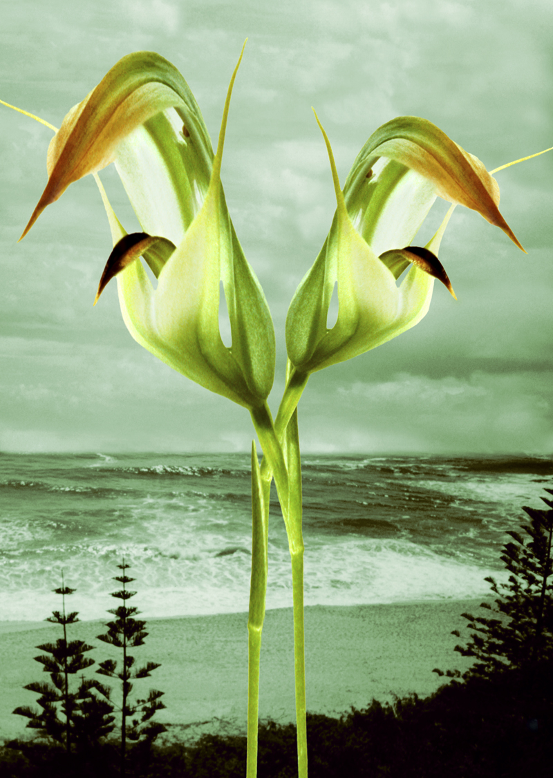 Robyn Stacey - Surrender (green),	2001