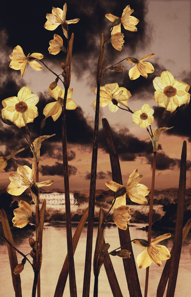 Robyn Stacey - Elizabeth Bay House 1845,	2003