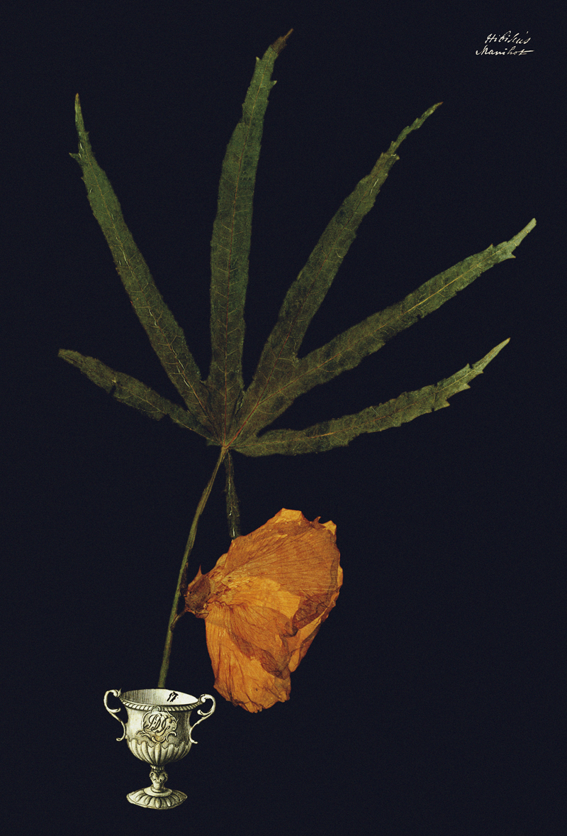 Robyn Stacey - Vase VI