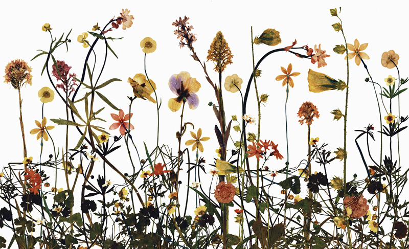 Robyn Stacey - Sixteenth Century Horizontal,	2003