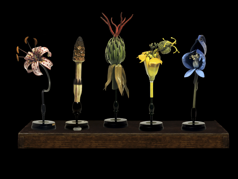 Robyn Stacey - The Brendels,	2005