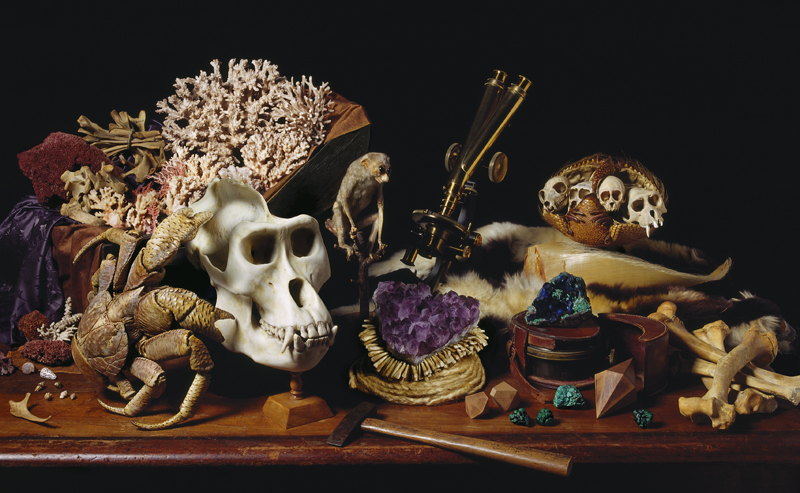 robyn stacey photograph from Beau Monde
