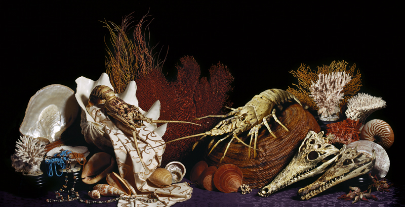 Robyn Stacey - Coral,	2005