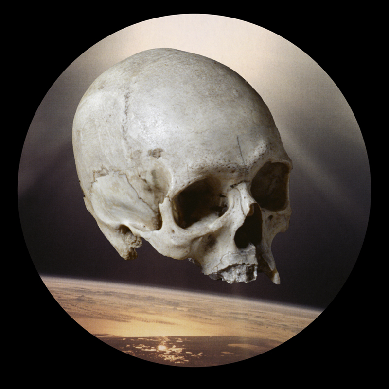 Robyn Stacey - Skull, 2005