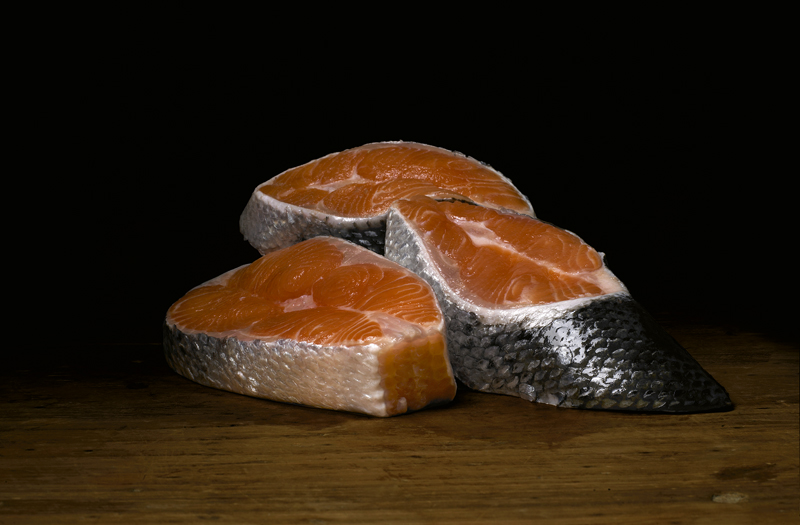 Salmon 2009, by Robyn Stacey
