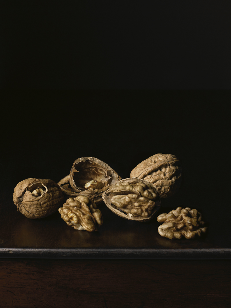 Robyn Stacey - Walnuts,	2009