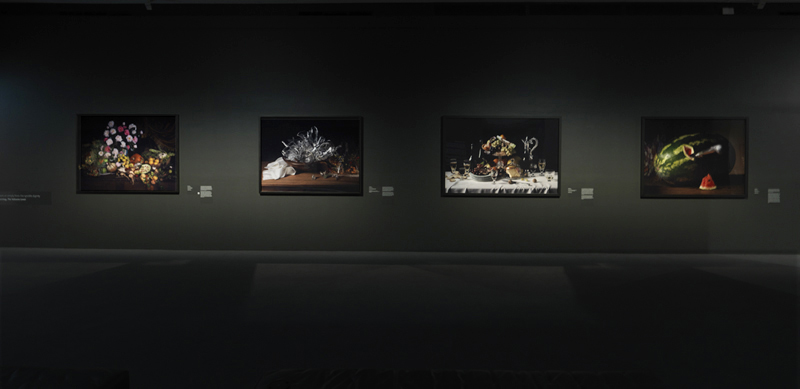 Robyn Stacey - Empire Line Installation