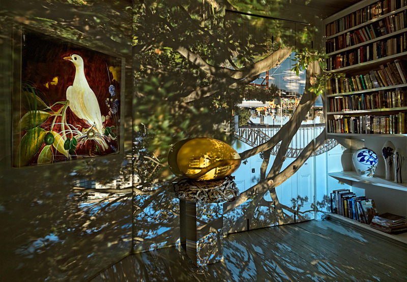 robyn stacey photograph From the exhibition Dark Wonder