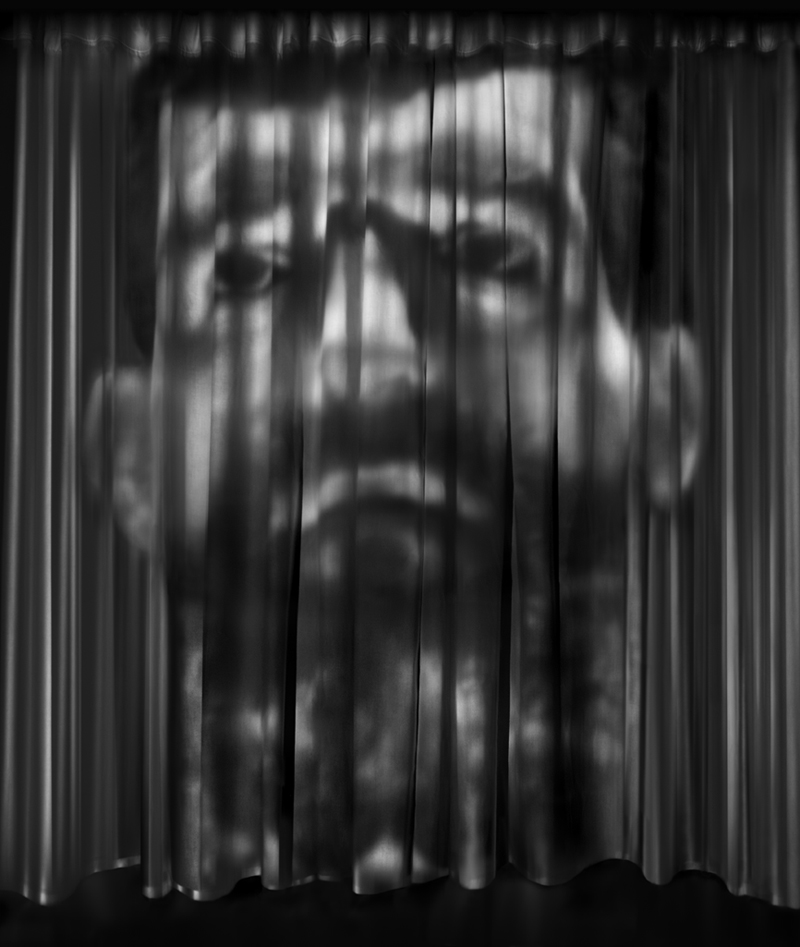 Robyn Stacey, 'Bete Noir' 2019, photographic print on metallic paper