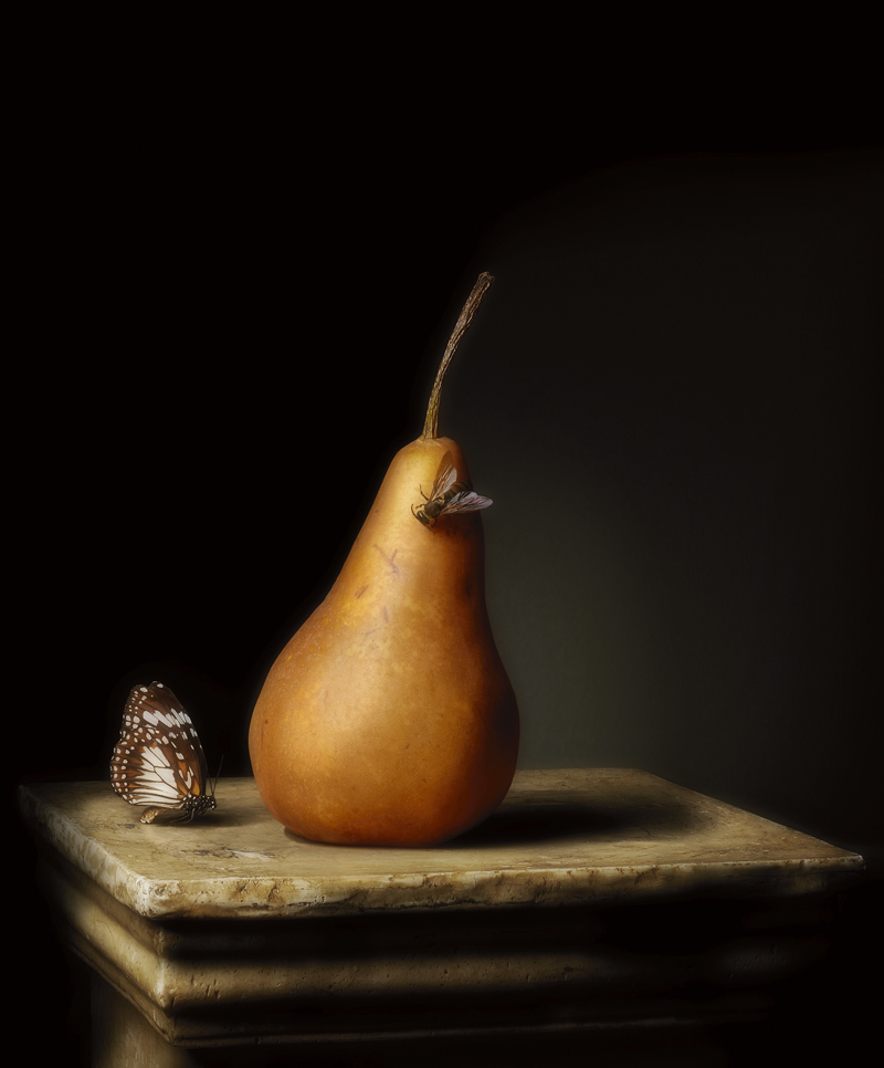 Robyn Stacey - 'Presentation Pear, 2011'