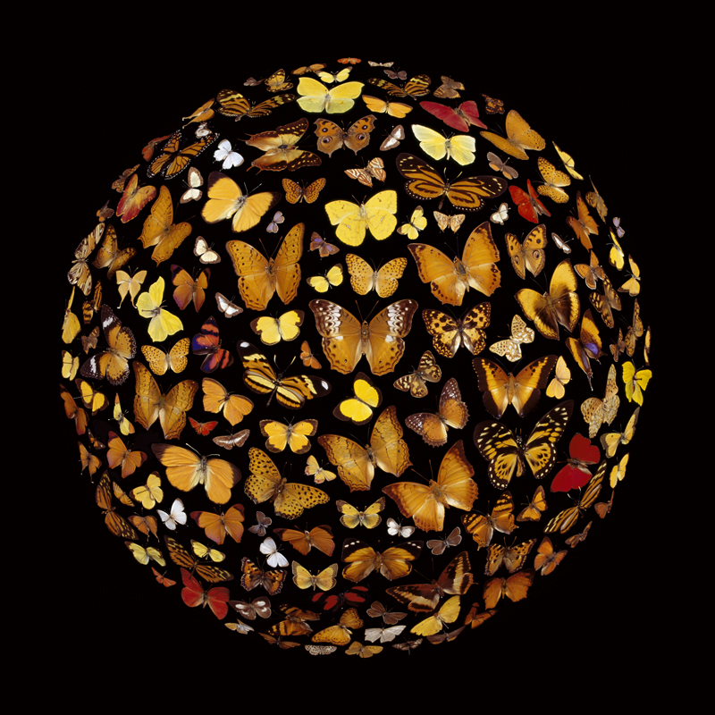 Robyn Stacey - Beau Monde (yellow), 2006