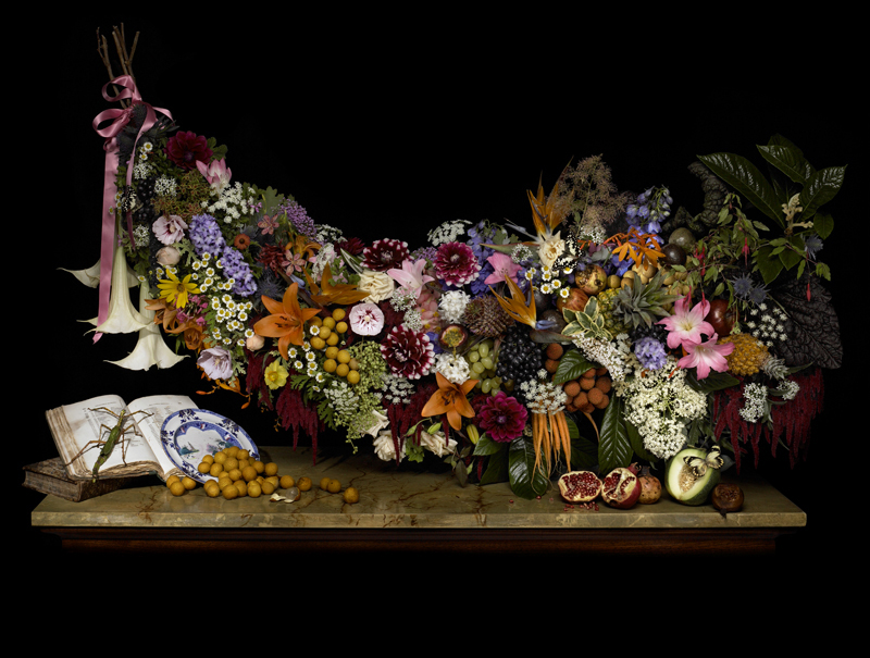 Robyn Stacey - Mr Macleay's Fruit and Flora, 2008