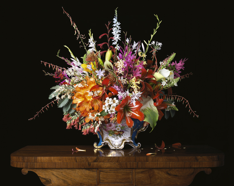Robyn Stacey - Bombe (Cape Bulbs), 2009
